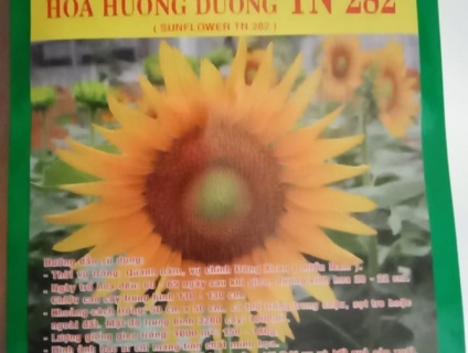 Phân phối sỉ lẻ Hạt giống Hoa các loại với giá tốt, chất lượng