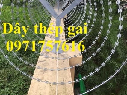 Phân phối sỉ lẻ dây kẽm gai hình dao,dây thép gai