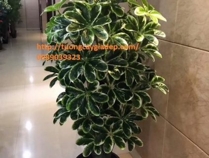 cây giả trang trí trong nhà