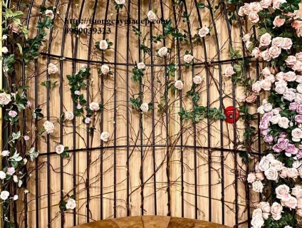 cây hoa hồng leo giả