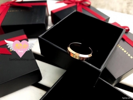 Nhẫn titan D.W nam nữ full box mã D.W2