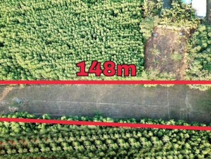 Đất Hiệp Hòa - TP Biên Hòa - Đồng Nai