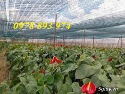 Lưới che nắng dệt kim đài loan chuyên giành cho vườn lan