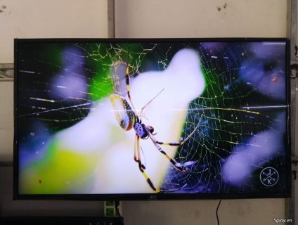 Bán tivi LG smart 49inch hình ảnh 4K