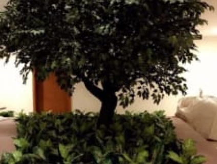 thi công cây si giả