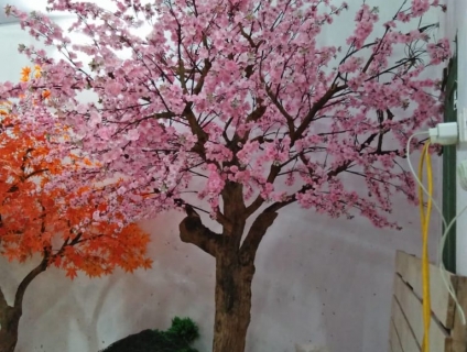 Hình ảnh cây đào giả