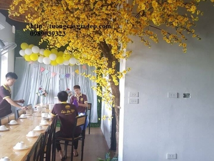 cây mai giả cung cấp cây mai giả bảo hành dài hạn cho quý khách