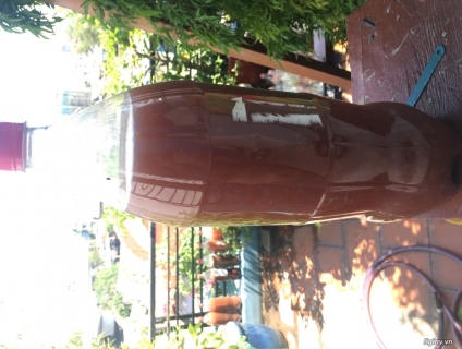 Bán vi sinh quang hợp giúp cá khỏe nước trong