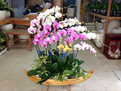 Top những mẫu hoa khai trương đẹp ý nghĩa nhất 2021