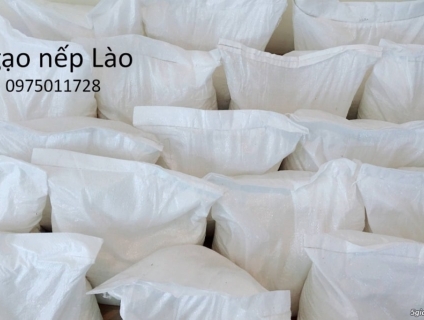 Gạo nếp Lào