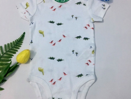 Chuyên các mẫu BodySuit thời trang dành cho Bé tại Quận 8