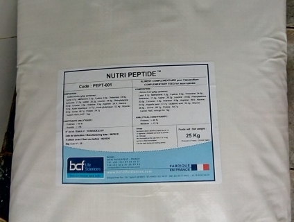 Bán tăng trọng Pháp Nutripeptide cung cấp dưới dạng amino acid giá sỉ