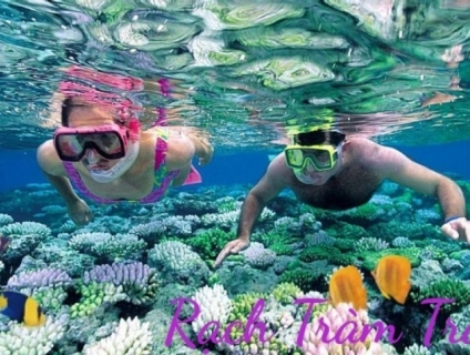 Tour Du Lịch Trong Ngày Tại Phú Quốc