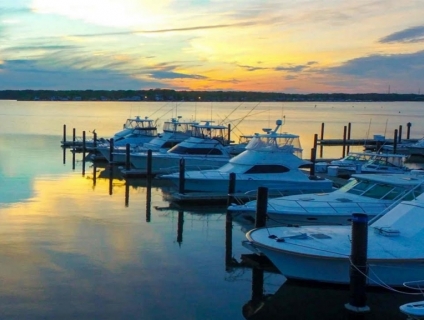 Thông báo mở lớp đào tạo và cấp chứng chỉ đại lý tàu biển