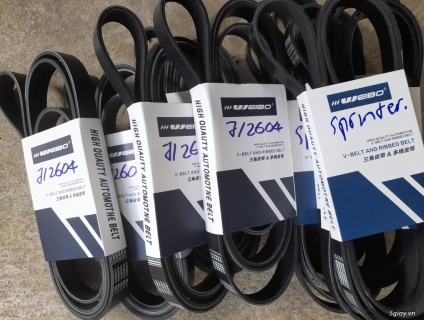 Dây coroa xe ford transit-sprinter