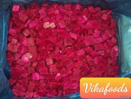 Cung cấp thanh long đông lạnh xuất khẩu