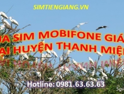 Địa Chỉ Đáng Tin Cậy Để Mua Sim Mobifone Giá Rẻ Tại Thanh Miện
