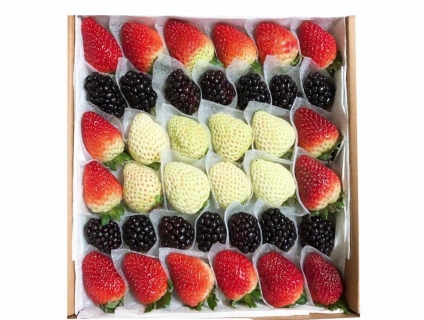 Các loại trái cây tươi Đà Lạt  giá tốt nhất  miền nam