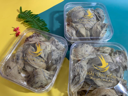 YẾN THÔ NGUYÊN TỔ | HẢI VÂN YẾN