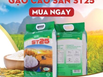 Gạo ngon ST25 Gente Food túi 10kg thượng hạng cơm thơm, mềm, dẻo dai.