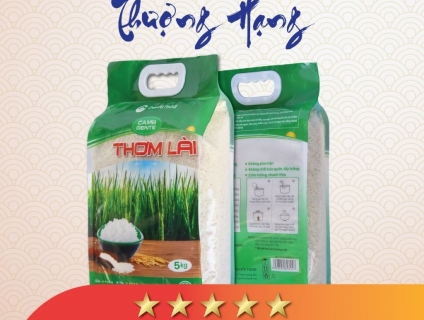 Gạo Thơm Lài Gente Food túi 5kg đặc biệt cơm nguội vẫn mềm, dẻo và dai