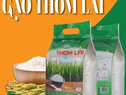 Gạo Thơm Lài Gente Food túi 2kg Cơm Thơm, Dai, Mềm Dẻo, Vị ngọt