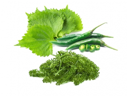 Các loại rau quả ăn đồ nướng giá tốt nhất thị trường miền nam