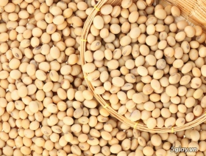Hạt đậu nành không biến đổi gien (Non GMO)