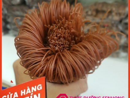 Bún gạo lứt sạch dành chế độ ăn người ăn kiêng, tiểu đường, eat clean.