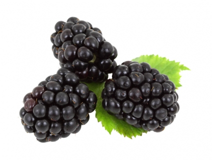 Quả phúc bồn tử là quả gì? Tác dụng và cách ngâm quả phúc bồn tử