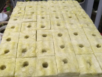 Giá thể ươm hạt, trồng cây 20,000đ/1 miếng 48 viên