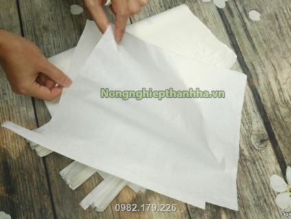 Địa chỉ sản xuất túi vải bao bưởi chất lượng cao