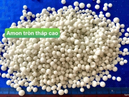 Bán Amon hạt tròn tháp cao