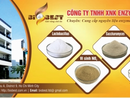 Tiêu hóa, xử lý nước, xử lý NO2, Enzyme Phytase, Enzyme Cellulase, Alp