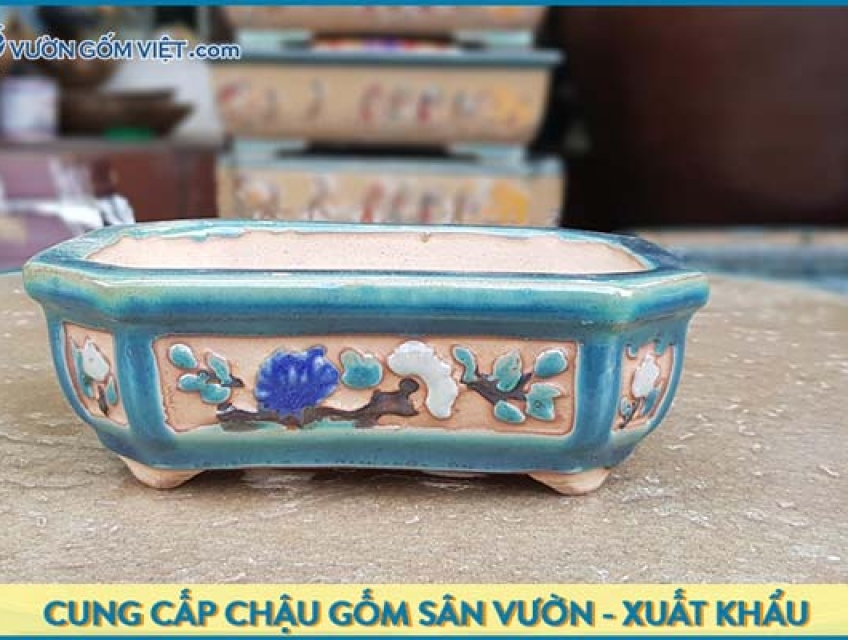 Chậu gốm bonsai: 5 Nguyên tắc cần nhớ khi chọn mua