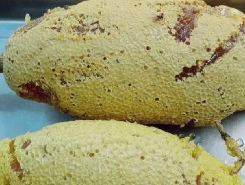 Thực hư mật ong rừng cải thiện sức khỏe và làm đẹp?