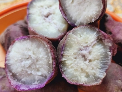 Khoai Lang Dương Ngọc ngon lắm