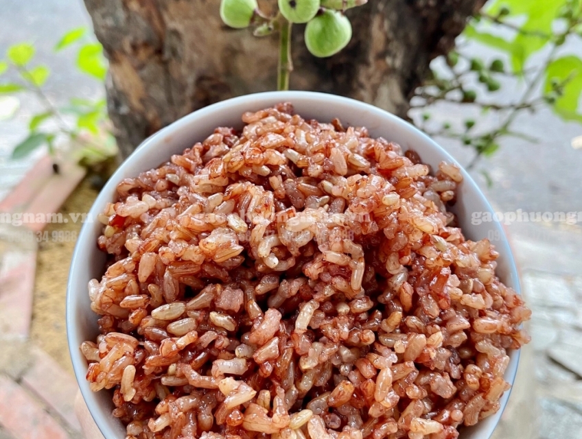 Gạo Lứt Đỏ Điện Biên Dẻo Mềm Thơm