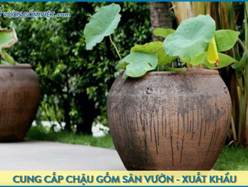 Chậu gốm Bát Tràng trồng sen mua ở đâu?