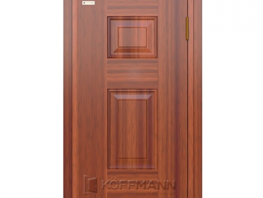 Cửa thép vân gỗ tại an giang