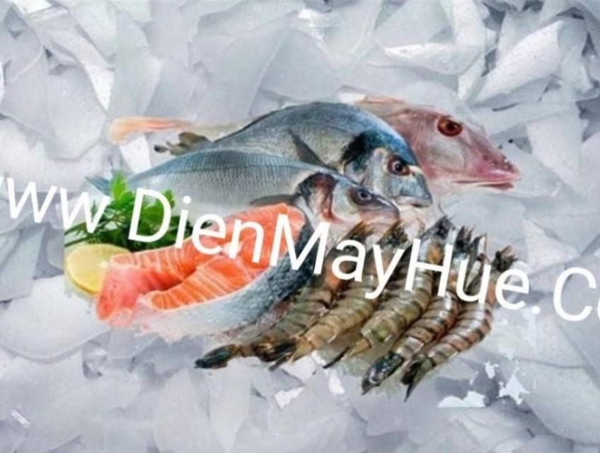Bán ,lắp đặt ,sửa chữa máy làm đá vảy tại HUẾ