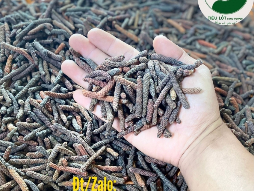 Tiêu Lốt Sấy Khô Hữu Cơ - Tiêu Lốp Sấy Khô Hữu Cơ Lopeco (2 đến 3cm)