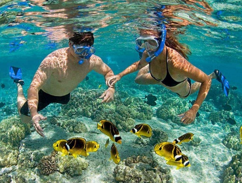 [Cực Hot] Tour Cù Lao Chàm lặn ngắm san hô, đi cano chỉ còn 440k