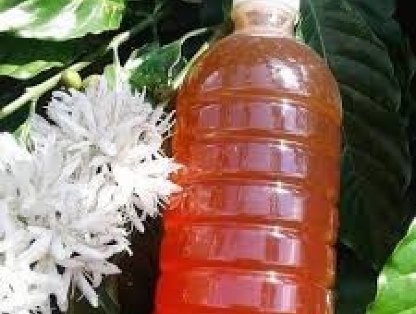 Đặt sản Cao Nguyên (Cà phê, Ca cao, Các loại hat...)