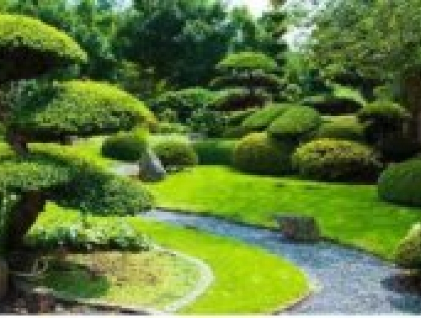 Chi phí xây dựng công trình cây xanh – Những khoản dễ phát sinh