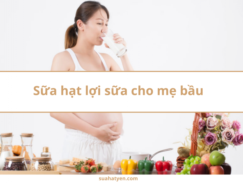 Sữa hạt lợi sữa cho mẹ bầu