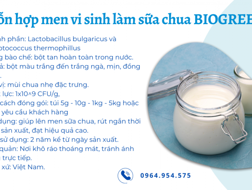 Lactobacillus bulgaricus và Streptococcus thermophillus trong sản xuất