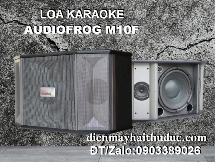 Loa chuyên Karaoke Gia đình Audio Frog M12F công suất đến 400W