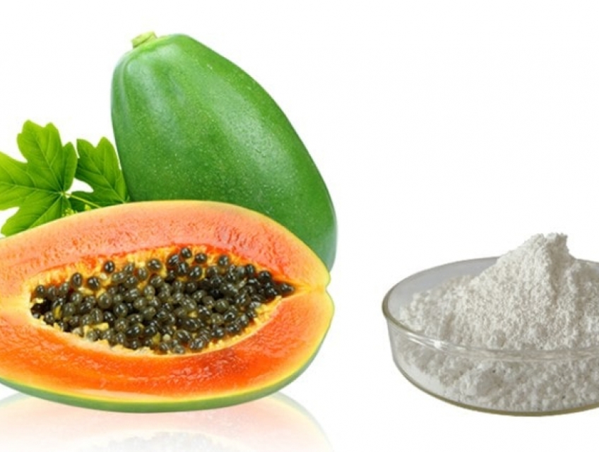 Chiết xuất quả Đu đủ Papain