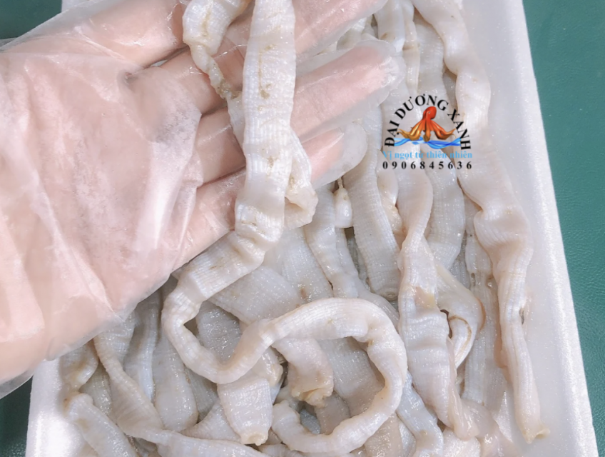 Mua sá sùng ở đâu tại TP.HCM?